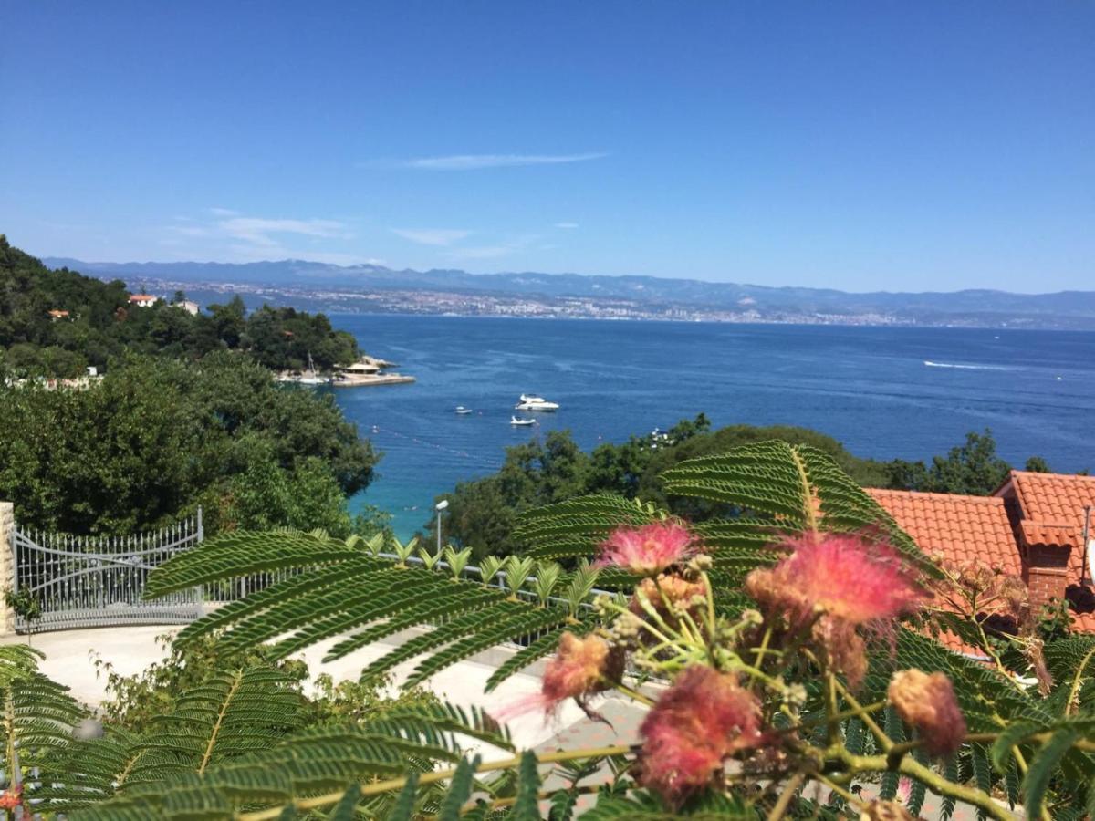 Villa Sabine Apartment Losinj メドヴェヤ エクステリア 写真