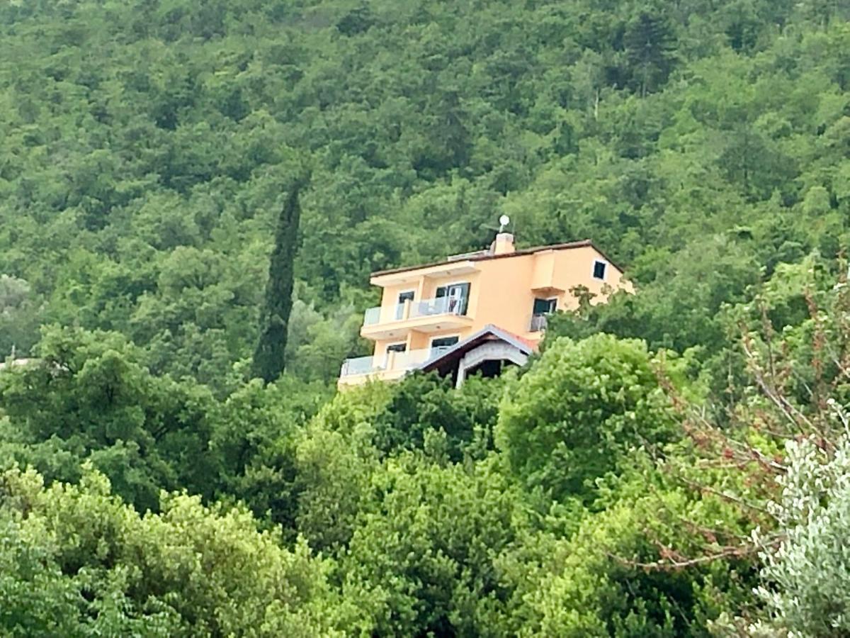 Villa Sabine Apartment Losinj メドヴェヤ エクステリア 写真